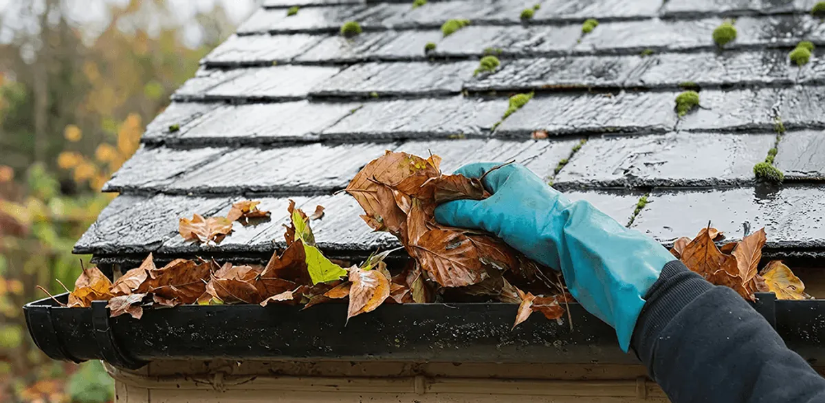 Gutter cleaning technician clearing wet leaves from roof gutters in Cape Coral, FL